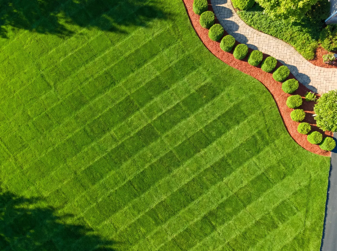 Top-down: fresh diagonal stripes, clean edge work.